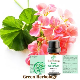 Rose Geranium Essential Oil Pure Therapeutic Grade, 10ml