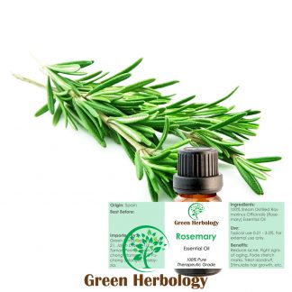 Rosemary Essential Oil Pure Therapeutic Grade, 10ml