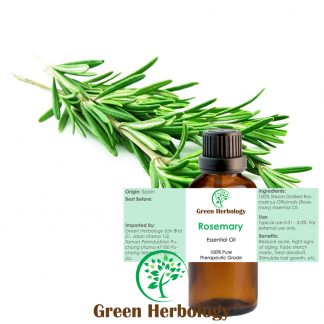 Rosemary Essential Oil Pure Therapeutic Grade, 50ml