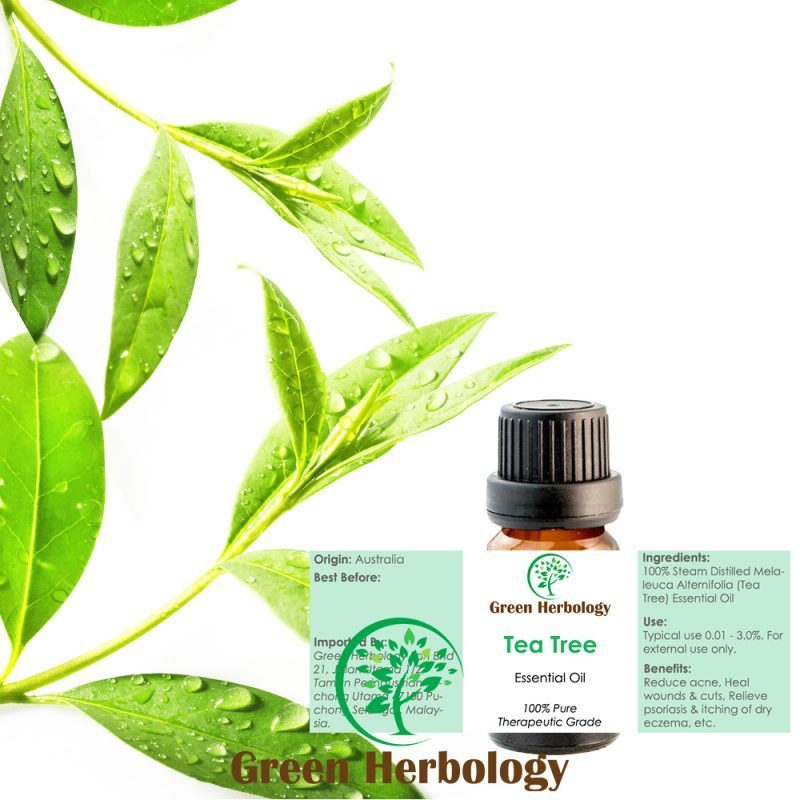Tea Tree Essential Oil Pure Therapeutic Grade, 10ml