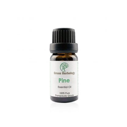 Pine Essential Oil Pure & Therapeutic Grade, 10ml