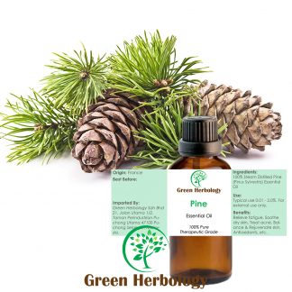 Pine Essential Oil Pure Therapeutic Grade, 30ml