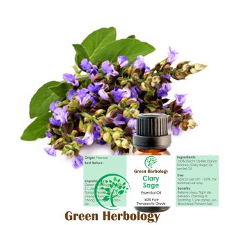Clary Sage Essential Oil Pure Therapeutic Grade, 10ml
