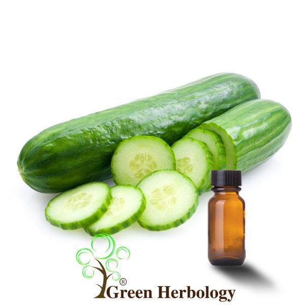 Cucumber Extract Green Herbology