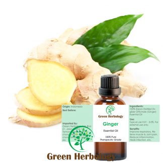 Ginger Essential Oil Pure Therapeutic Grade, 30ml