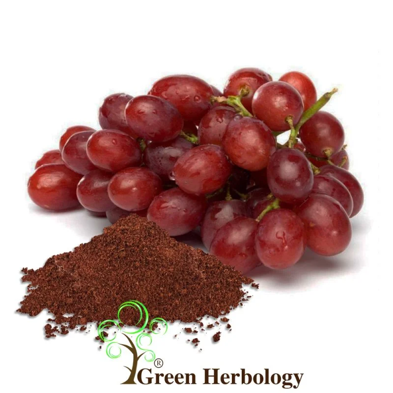 Grape Seed Powder For Skincare