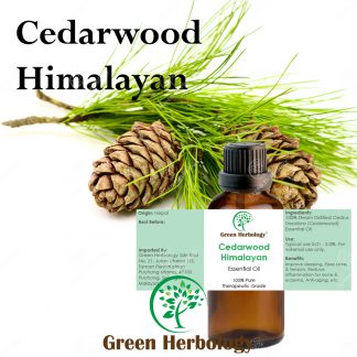 Cedarwood Himalayan Essential Oil 50ml