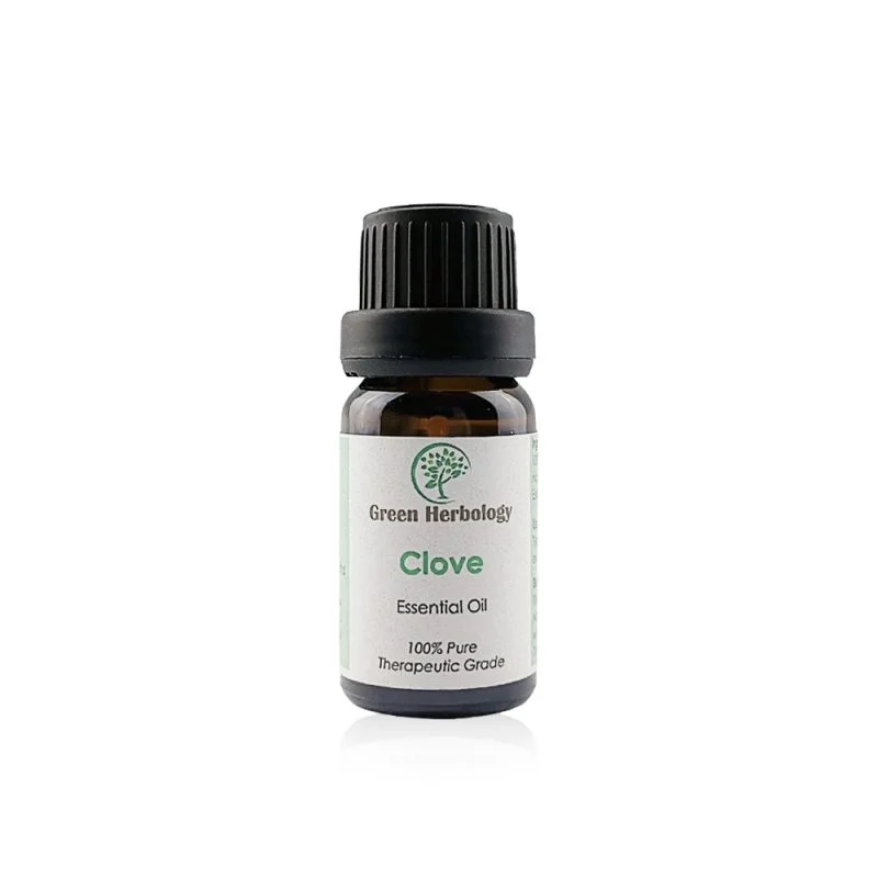 Clove Essential Oil Green Herbology