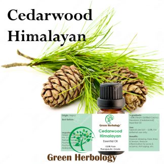 Cedarwood Himalayan Essential Oil 10ml