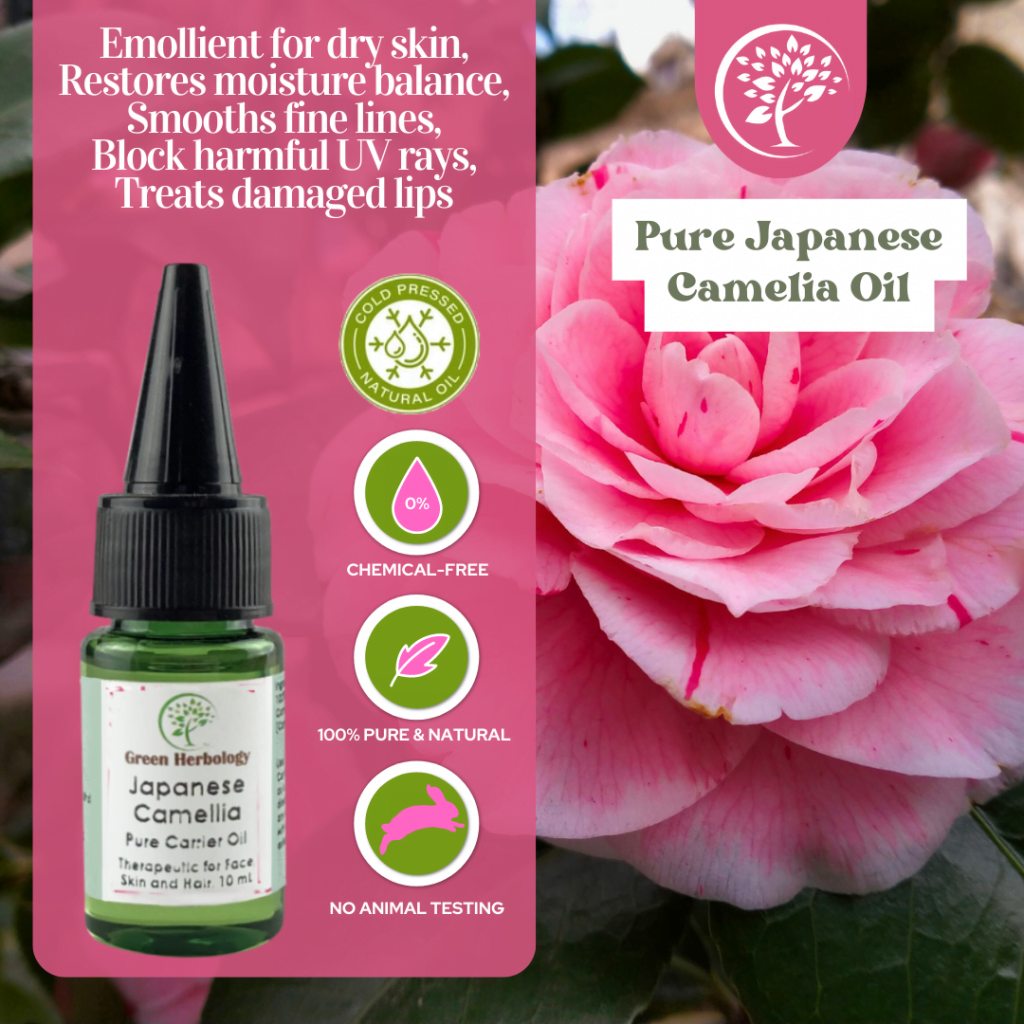 Japan Camellia Oil 10ml Green Herbology