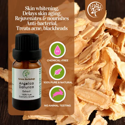 Angelica Dahurica extract for cosmetic use