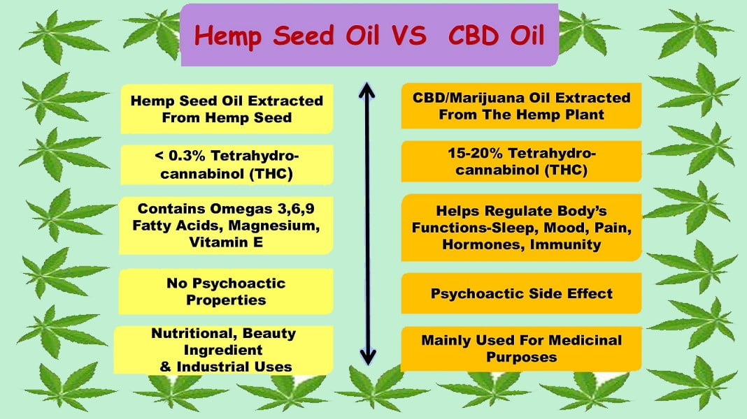 HEMP SEED OIL IS AN AMAZING OIL FOR YOUR SKIN (MOISTURIZES, TREATS
