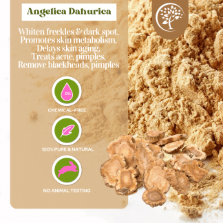Angelica Dahurica Powder - For Cosmetic Use