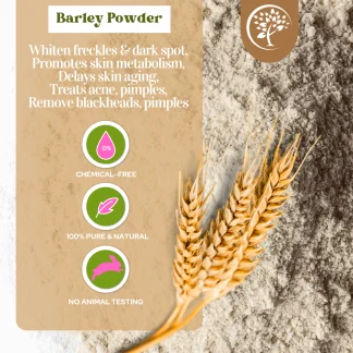 Barley Powder - For Cosmetic Use