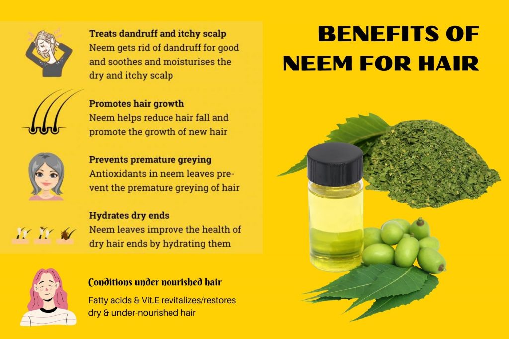 AMAZING BENEFITS OF NEEM LEAVES – A HERB THAT HEALS – Green Herbology