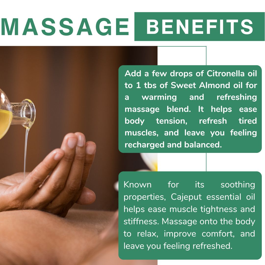 Cajeput Essential Oil (Minyak Kayu Putih) - Image 4