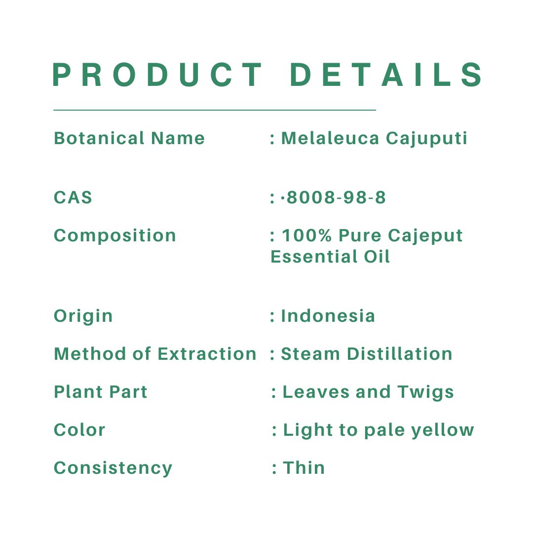 Cajeput Essential Oil (Minyak Kayu Putih) - Image 2