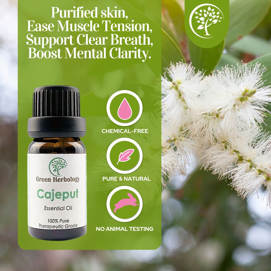 Cajeput Essential Oil (Minyak Kayu Putih) - Image 7